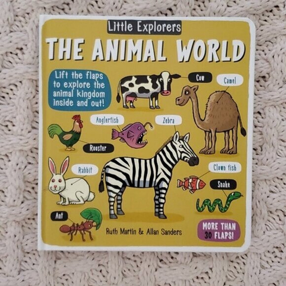 New "Little Explorers: The Animal World" Flap Board Book